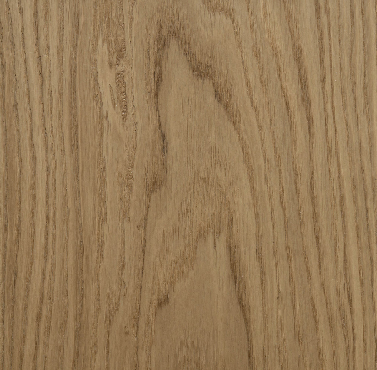 Riviera Oak sample, raw uncoloured European oak with a brushed grain and handmade bevel