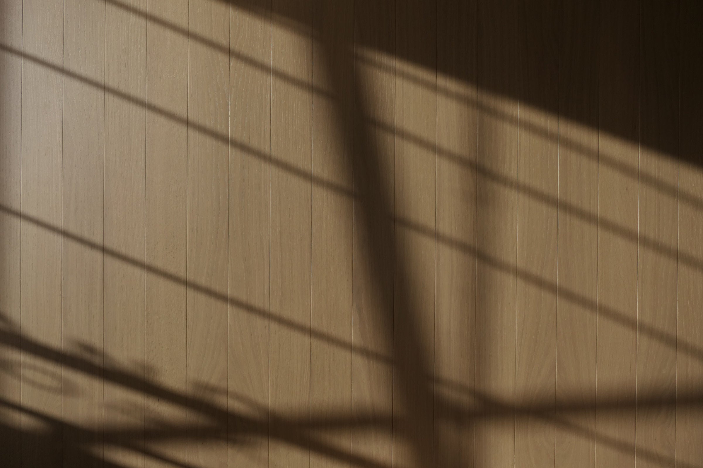 Victoria Studio, Christchurch — Picasso Oak floors and wall boards