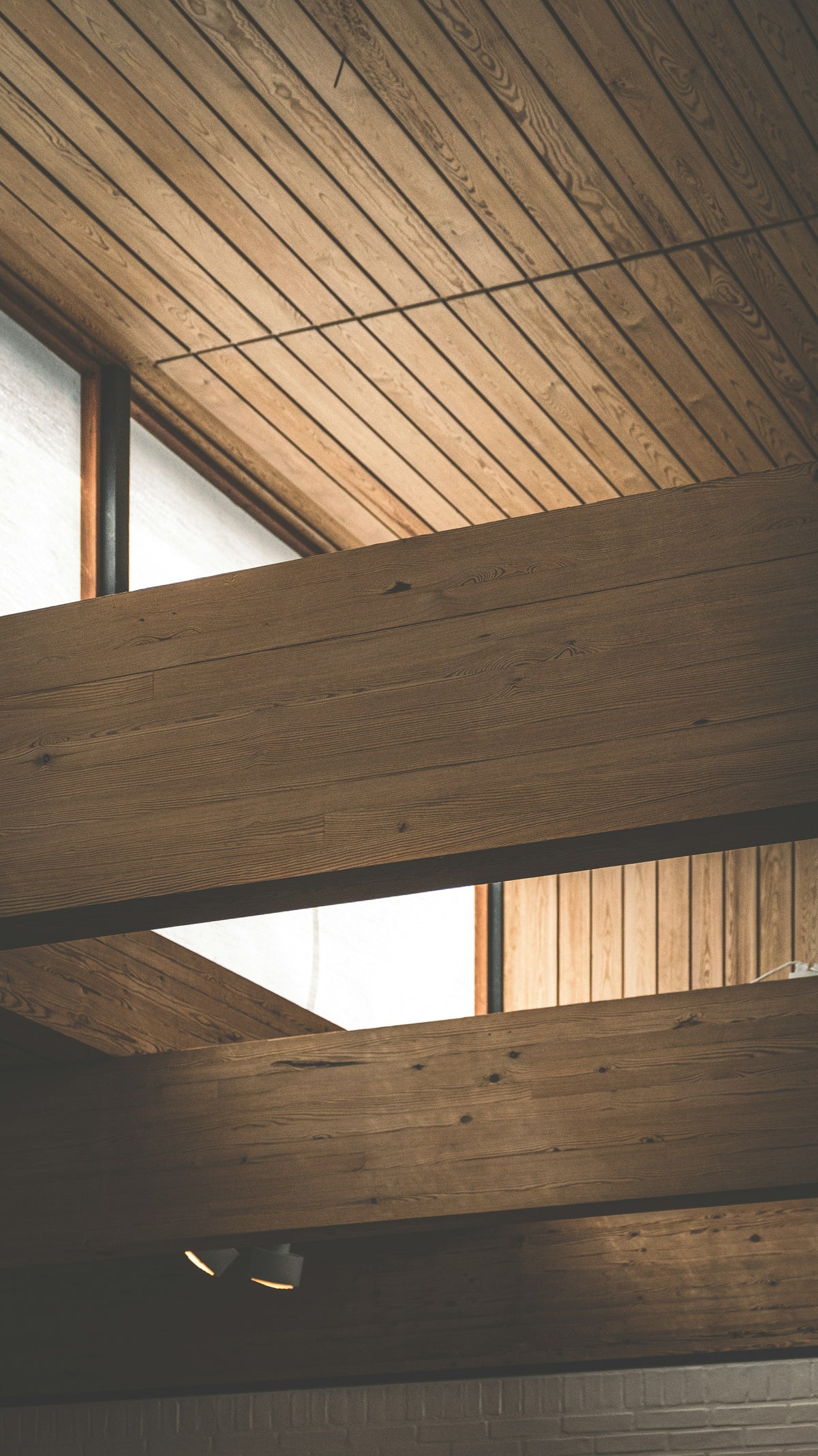 Timber-lined ceiling with exposed beams and skylight, mid-century detail. Reference photograph by Daniel Lorentzen via Unsplash