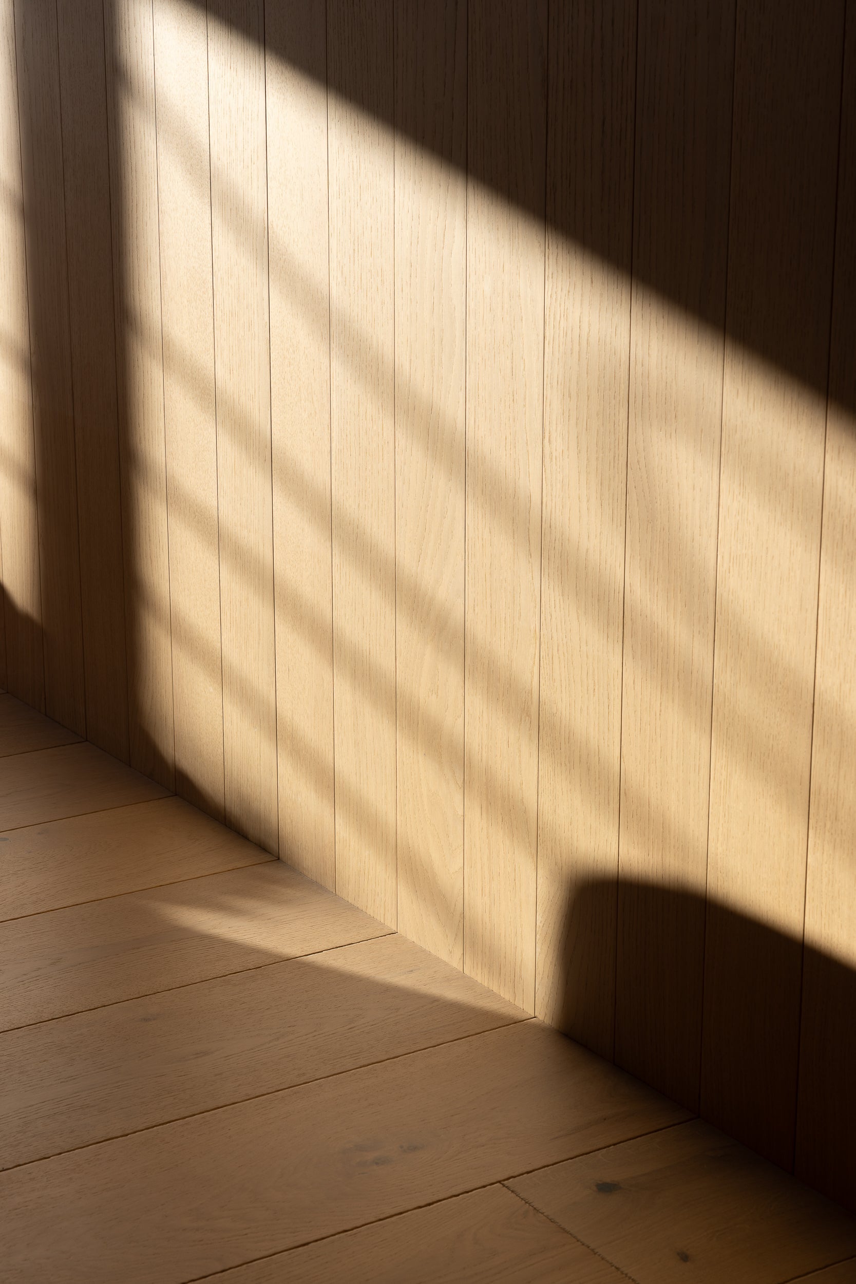 Oak wall and ceiling boards in the Marchand Christchurch studio